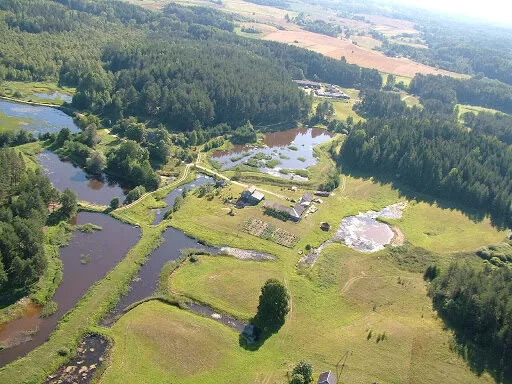 Sudrabiņu dīķi