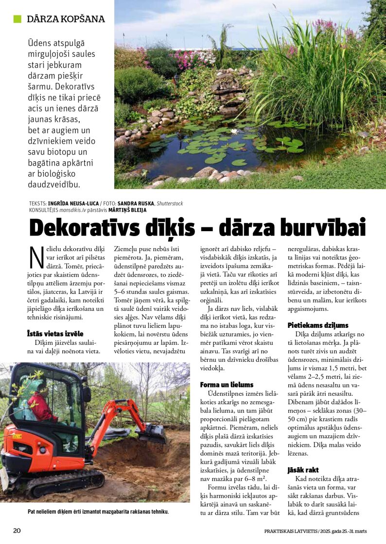 diiki_pa_lapai_46__page-0001.jpg
